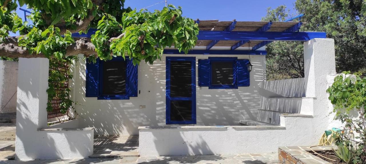 Chrysa'S Cottage House Karystos  Dış mekan fotoğraf