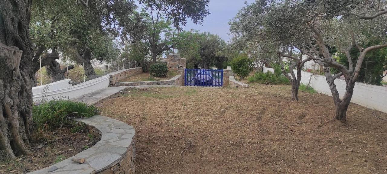 Chrysa'S Cottage House Karystos  Dış mekan fotoğraf