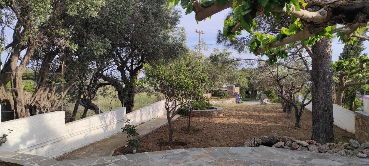 Chrysa'S Cottage House Karystos  Dış mekan fotoğraf