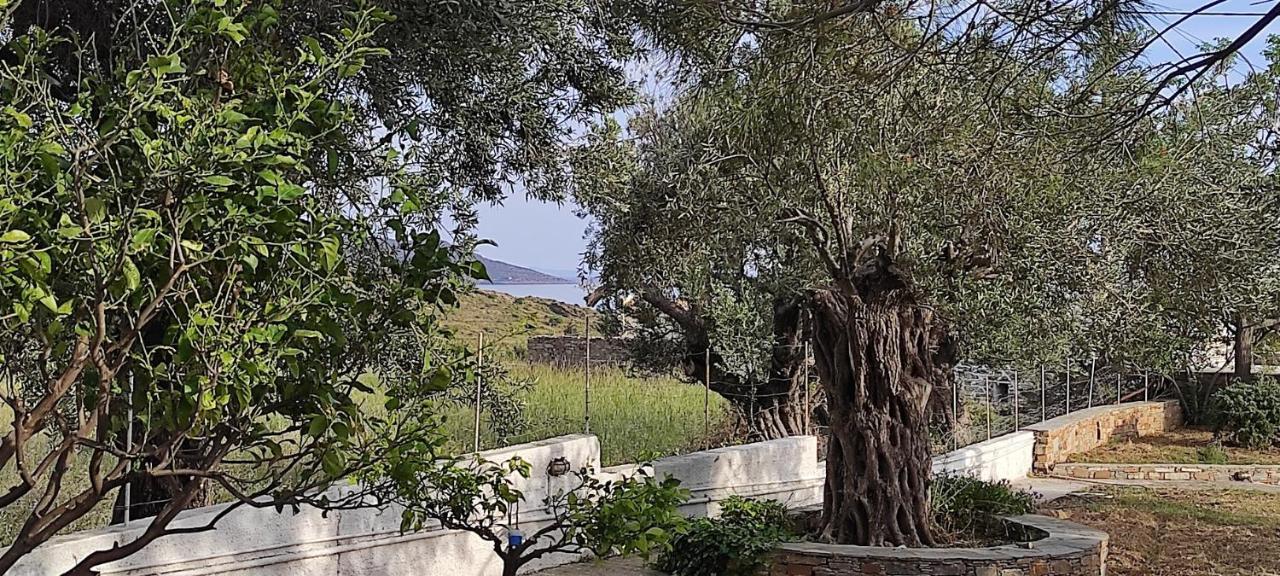 Chrysa'S Cottage House Karystos  Dış mekan fotoğraf